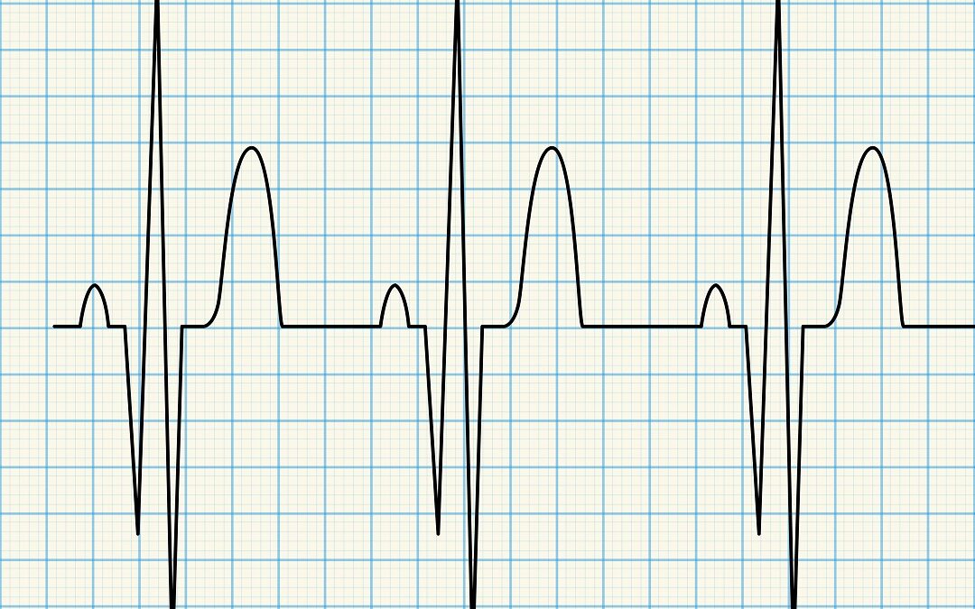 Az emberi test elektromossága
