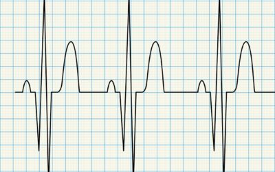 Az emberi test elektromossága