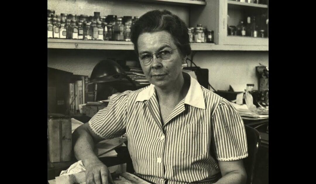 Edith Clarke: az első női villamosmérnök