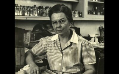 Edith Clarke: az első női villamosmérnök