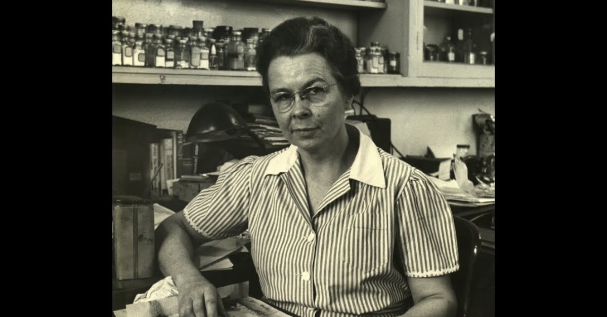 Edith Clarke Edith Clarke